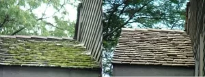 Why Roof Cleaning is Crucial for Your Home’s Longevity