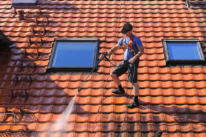 Roofing Cleaning