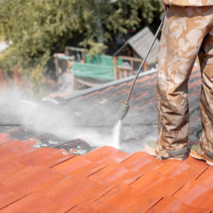  Tile Roof Cleaning 