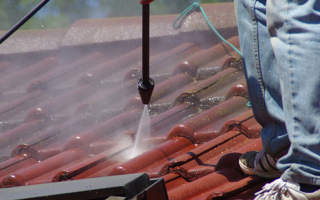 Tile Roof Cleaning Matters